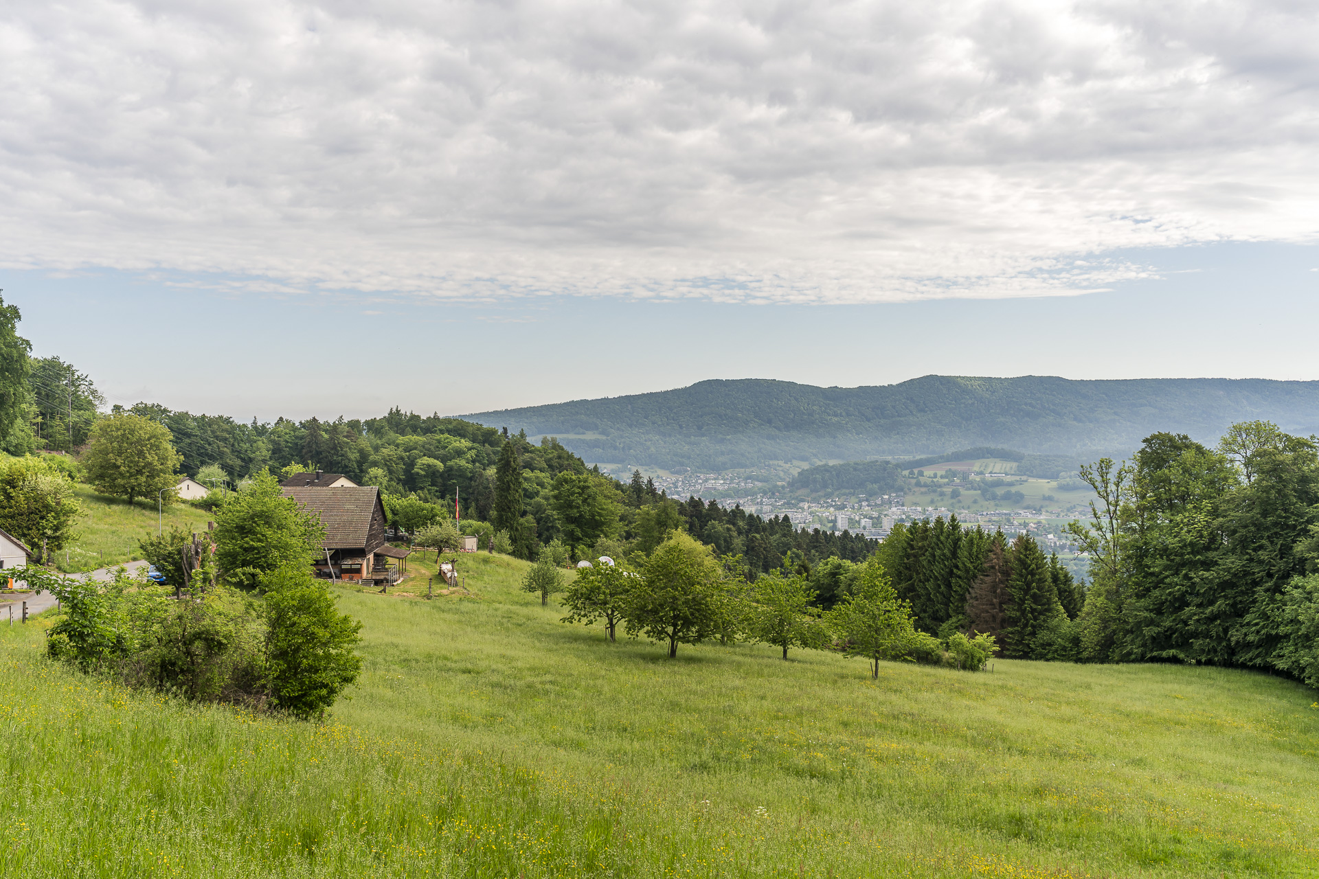 Rüsler near Neuenhof