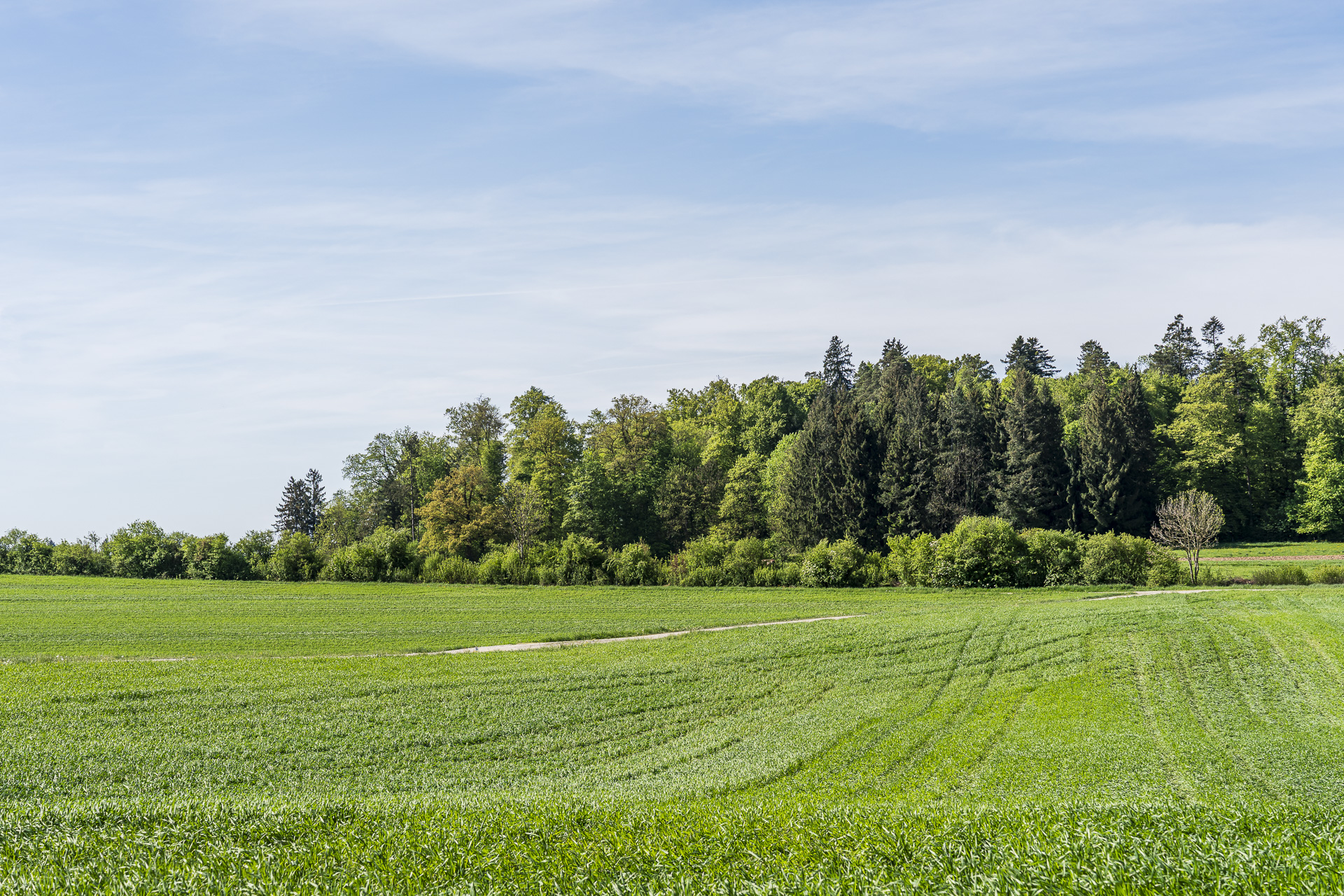 Cultural landscape in the wine country