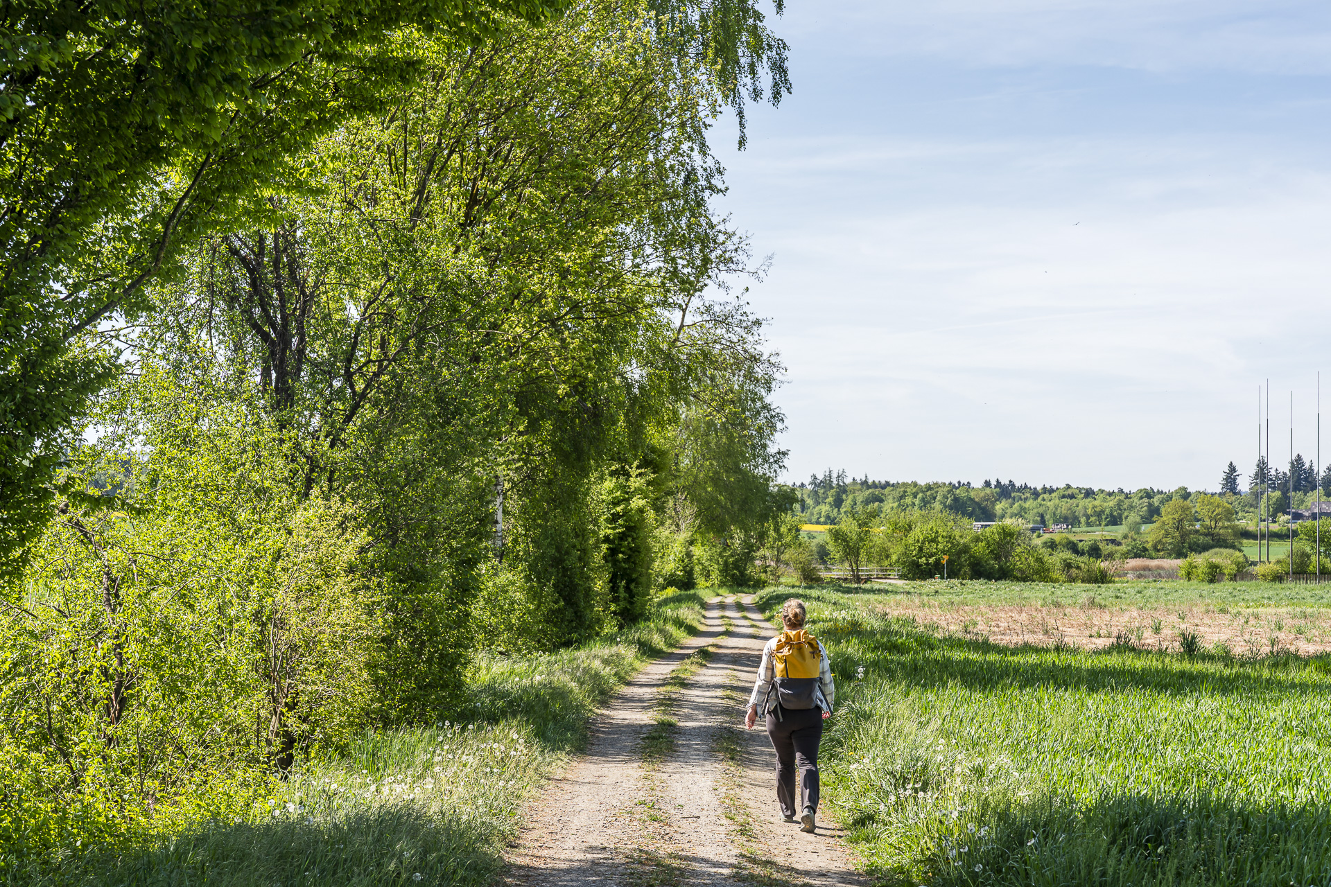 Zürcher Weinland Trail
