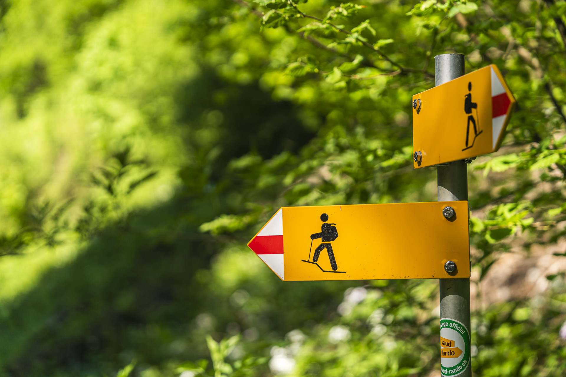 Mountain trail signpost