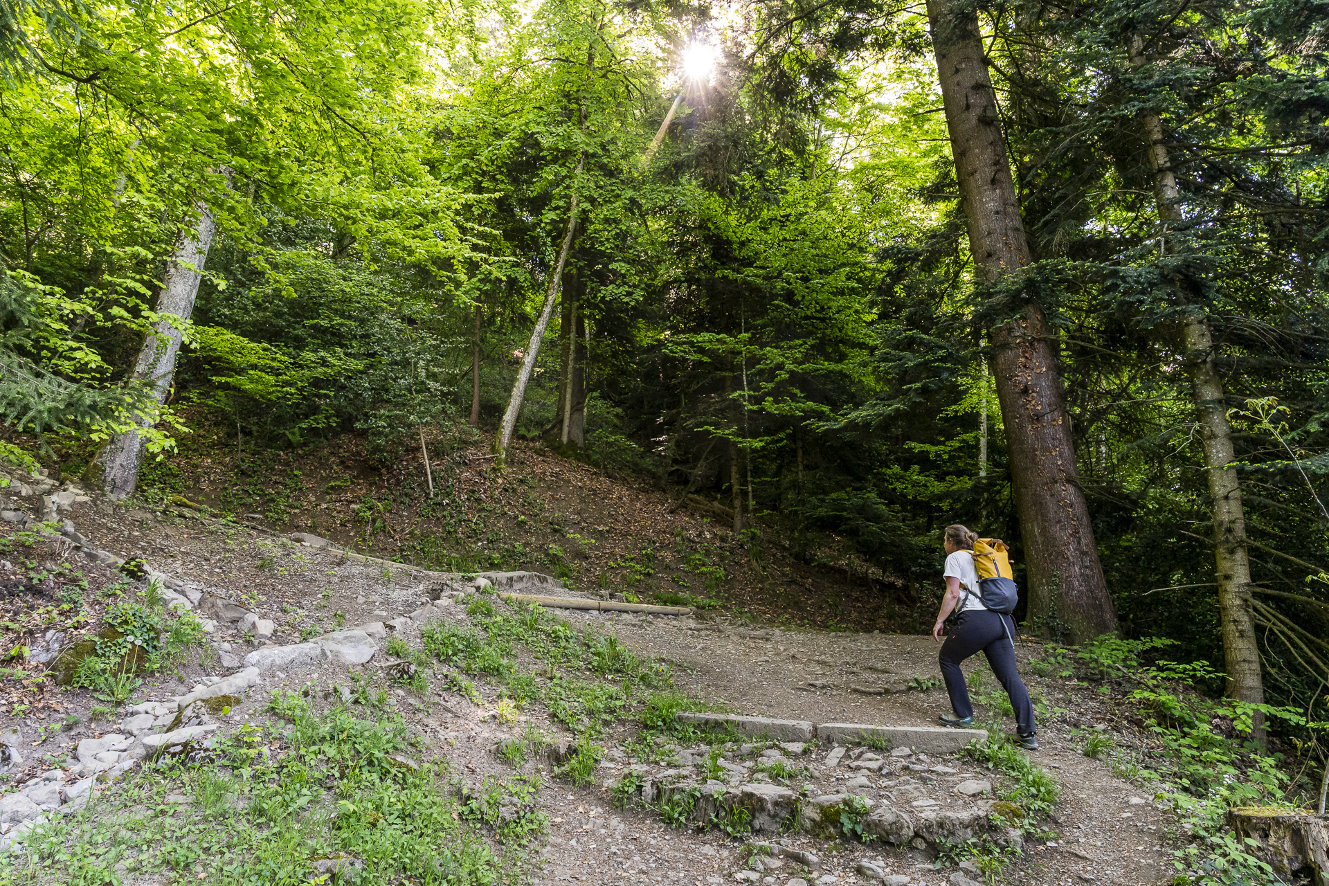Hike Glion–Caux
