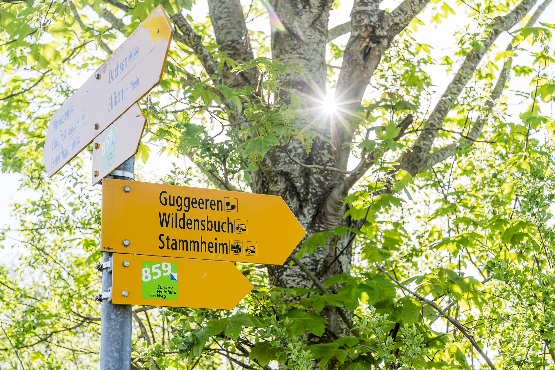 Signpost for Zürcher Weinland Trail