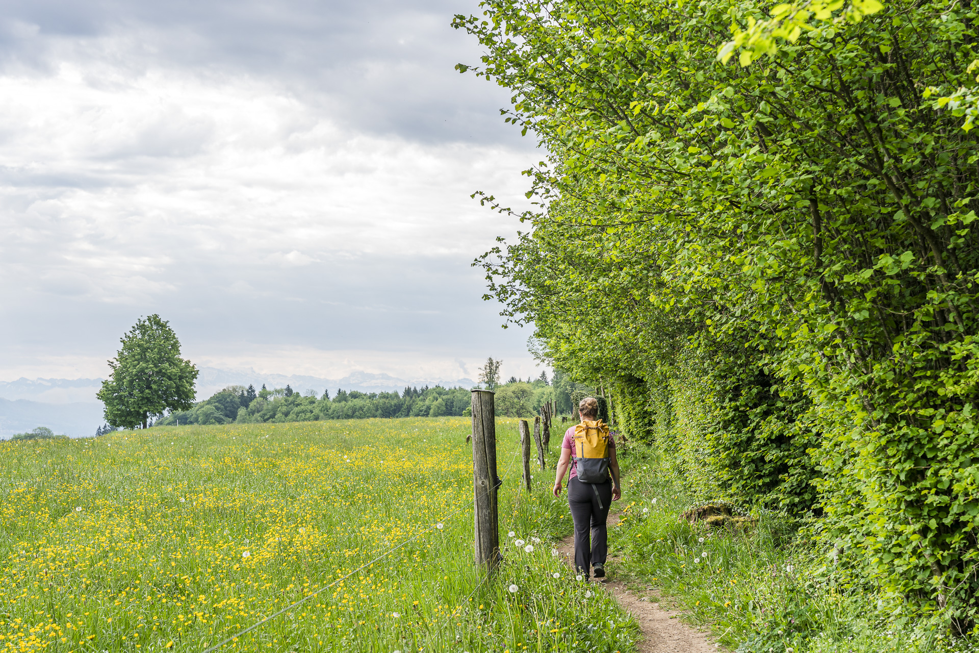 Trail to the Egelsee