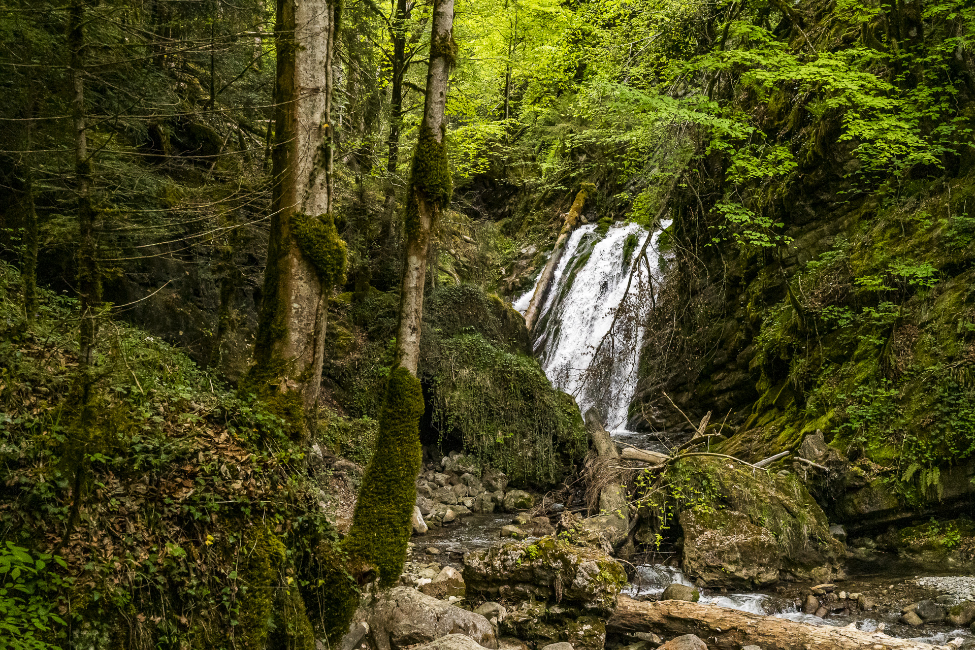 Waterfall in the Gorge du Chaudron