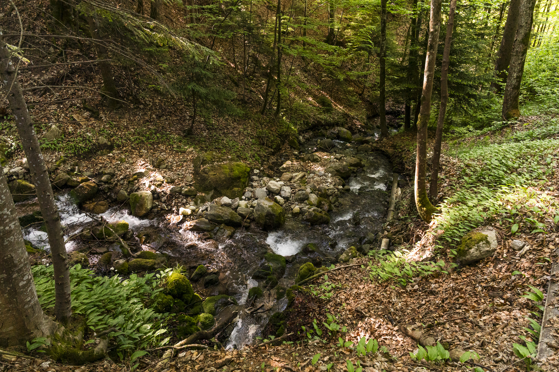 Gorge du Chaudron