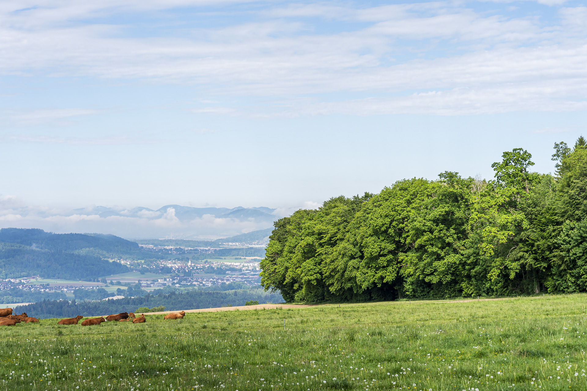 View from Sennhof into the Reuss Valley