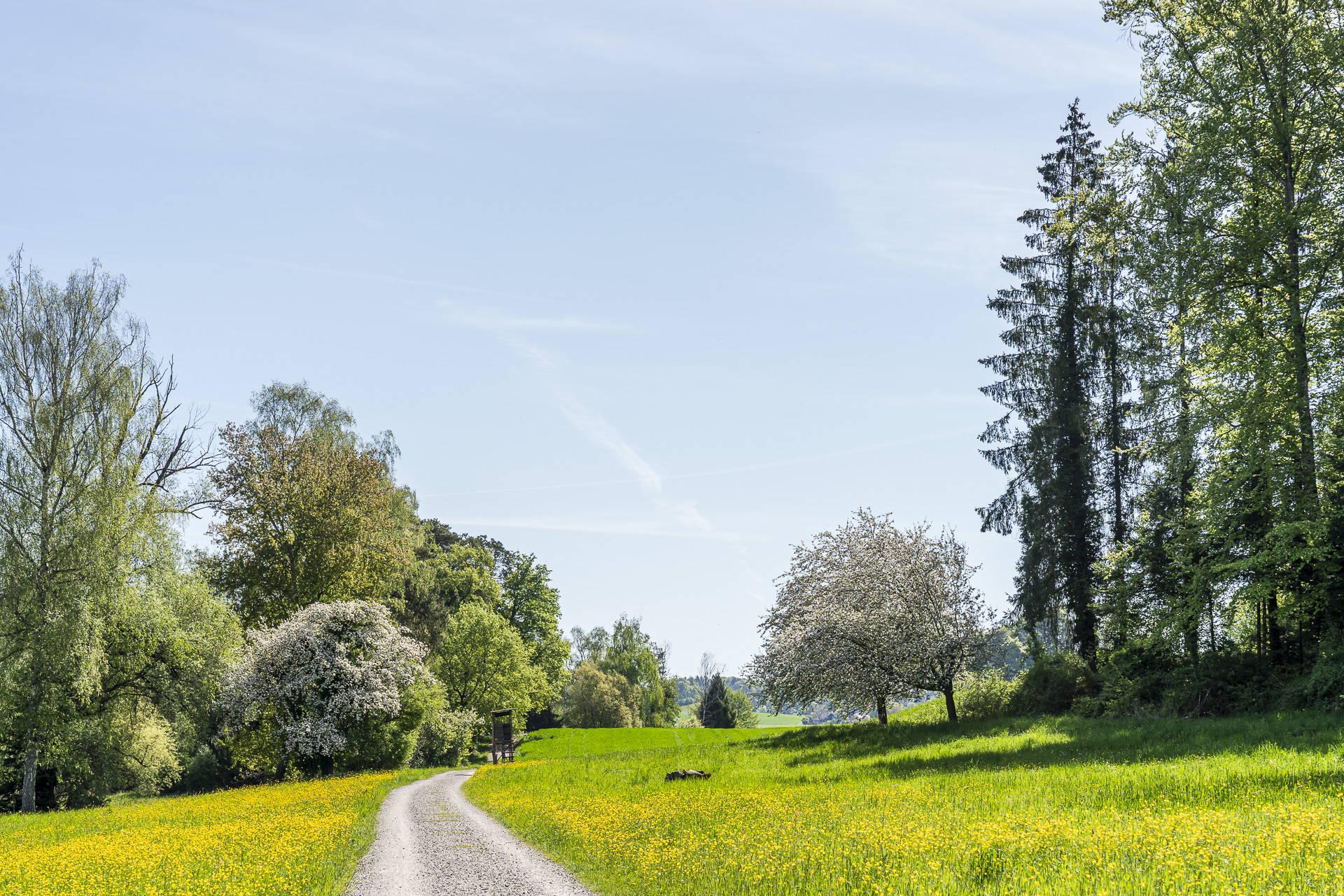 Trail at Husemersee