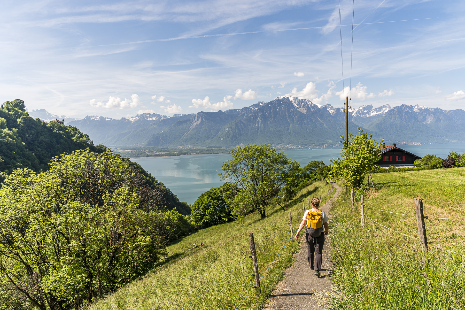 Hiking trail from Les Avants to Montreux