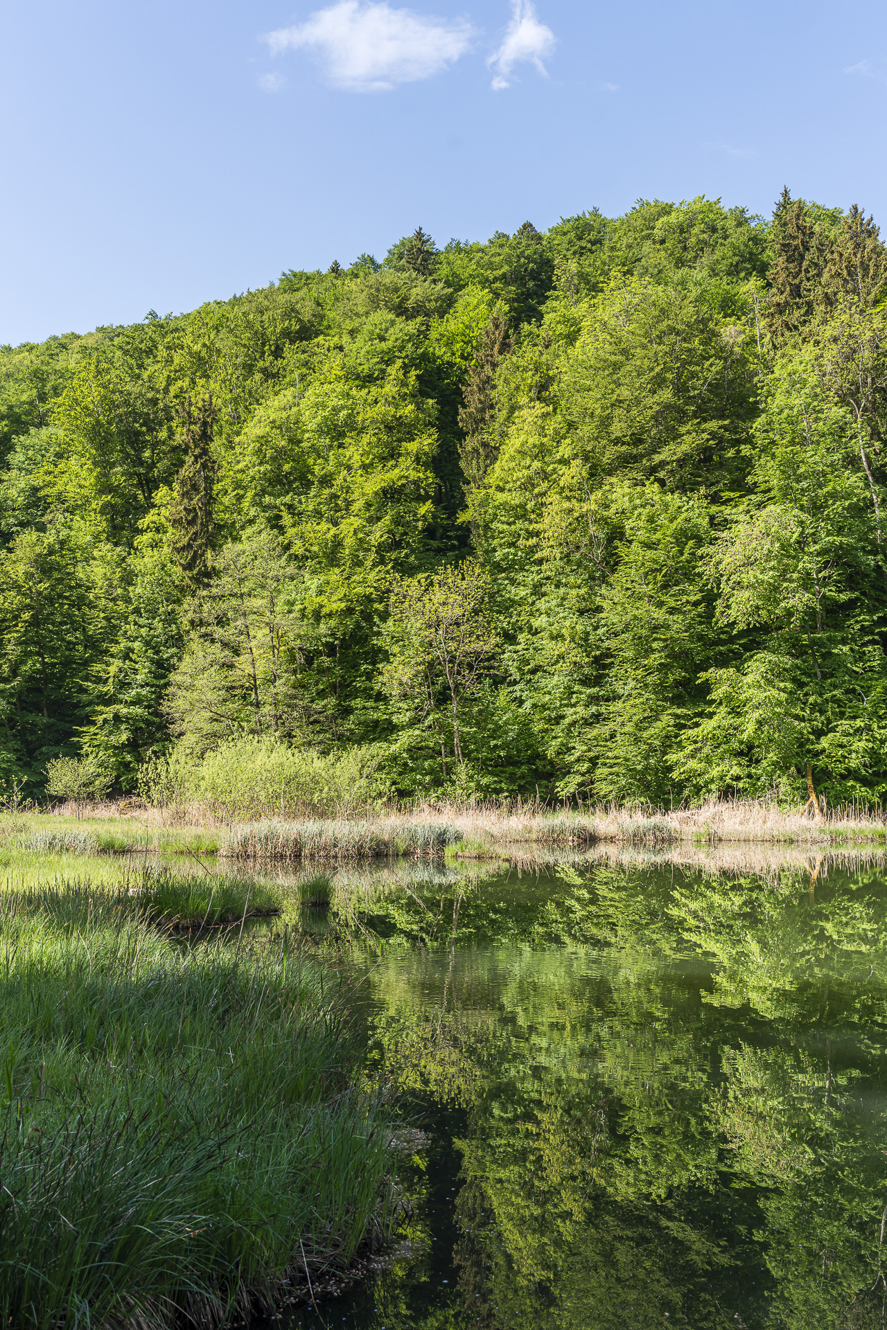 Egelsee in the Limmat Valley