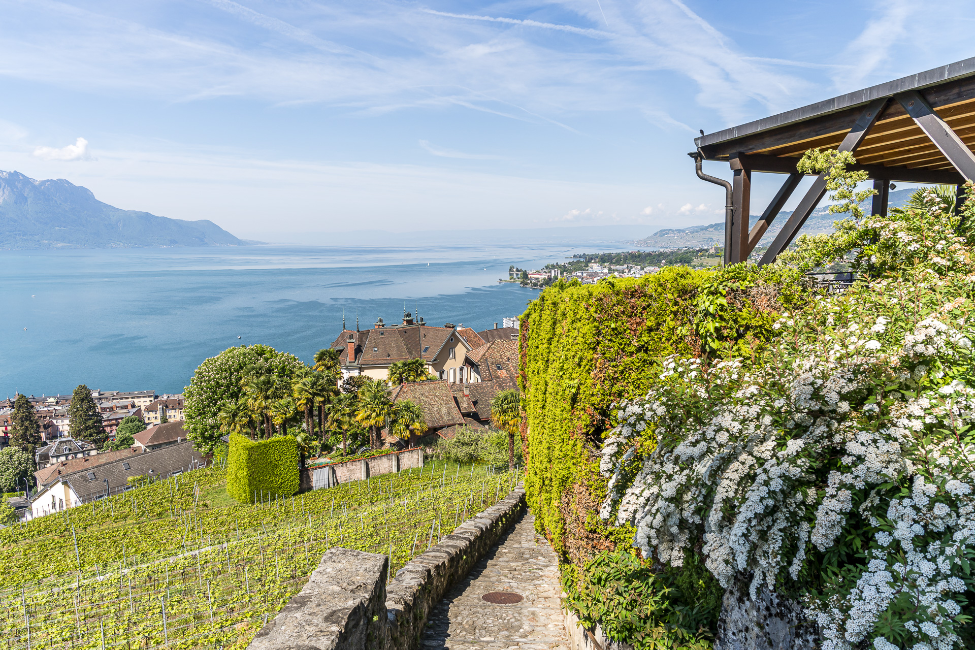 Hiking trails to Montreux
