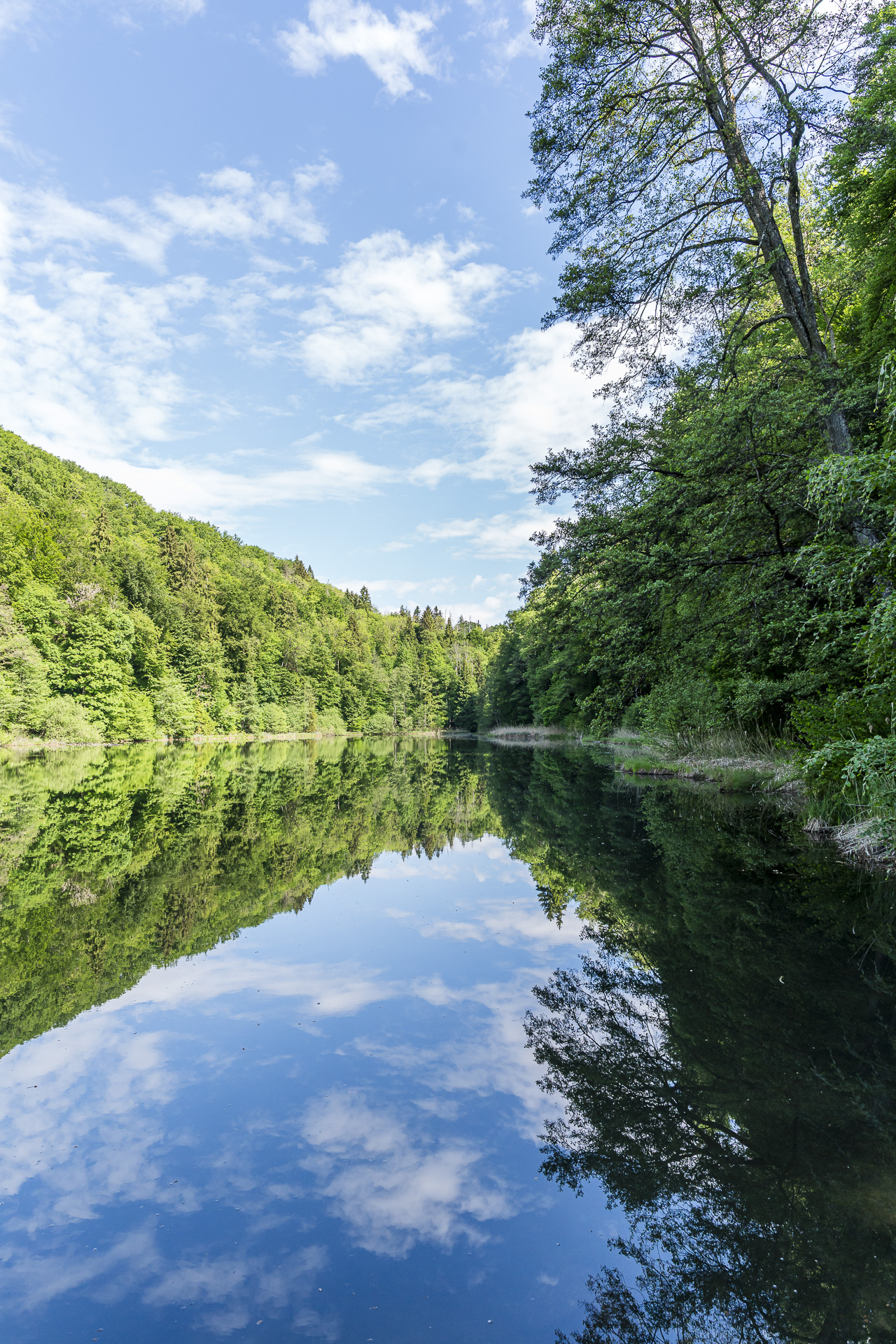 Egelsee near Kindhausen
