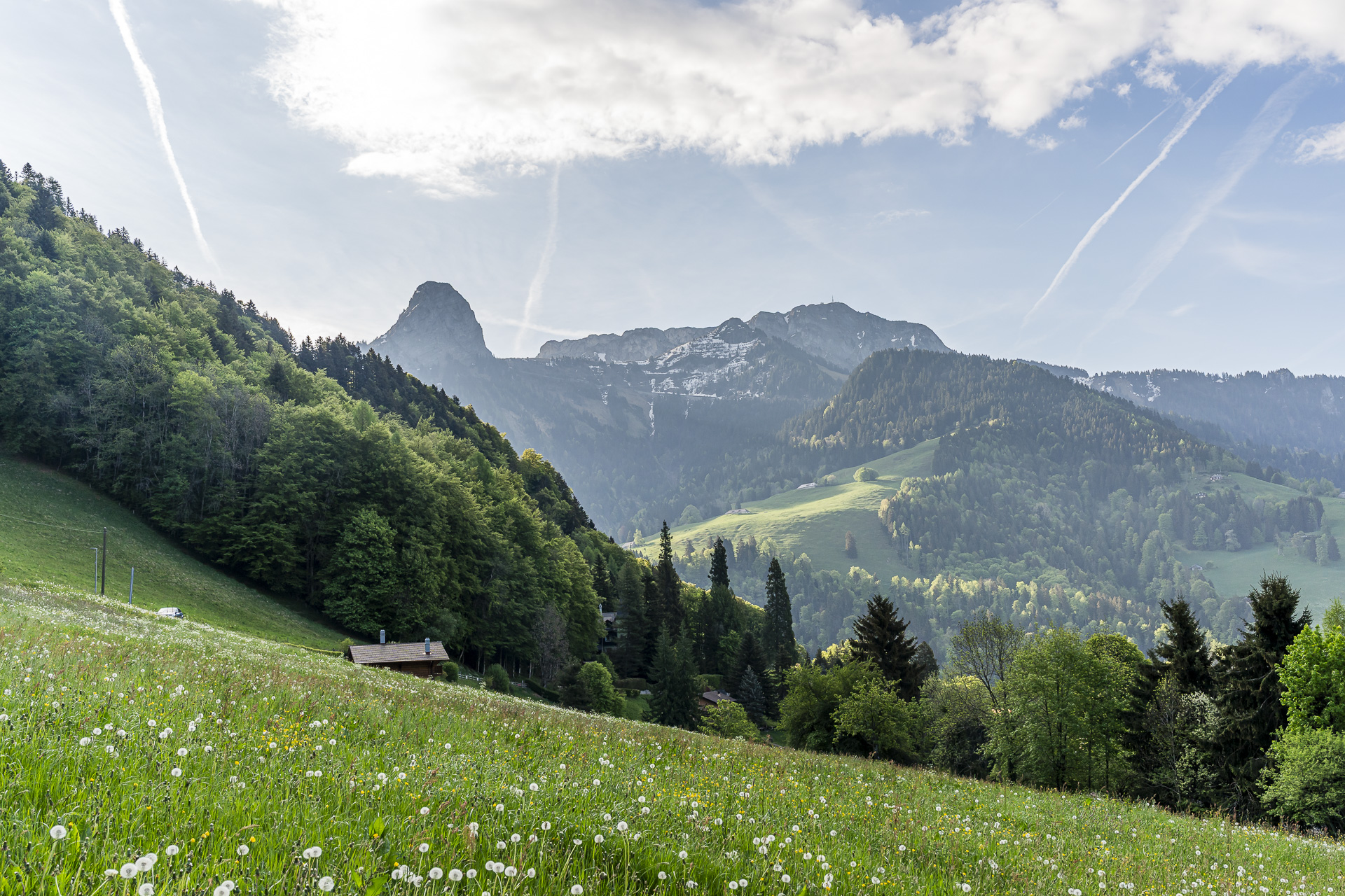 Les Avants panorama