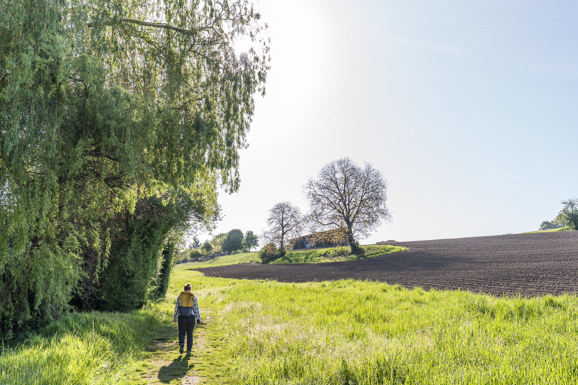 Hiking in the Zürcher Weinland