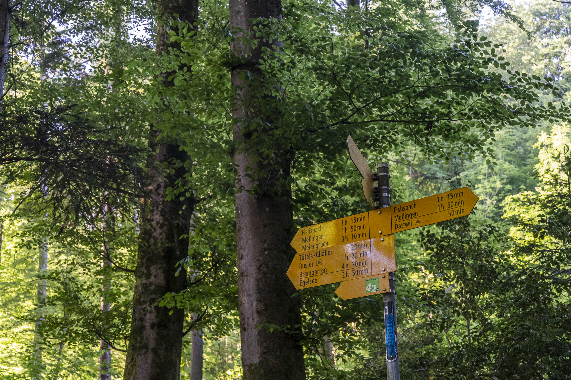 Trail sign at the forest edge of Baden