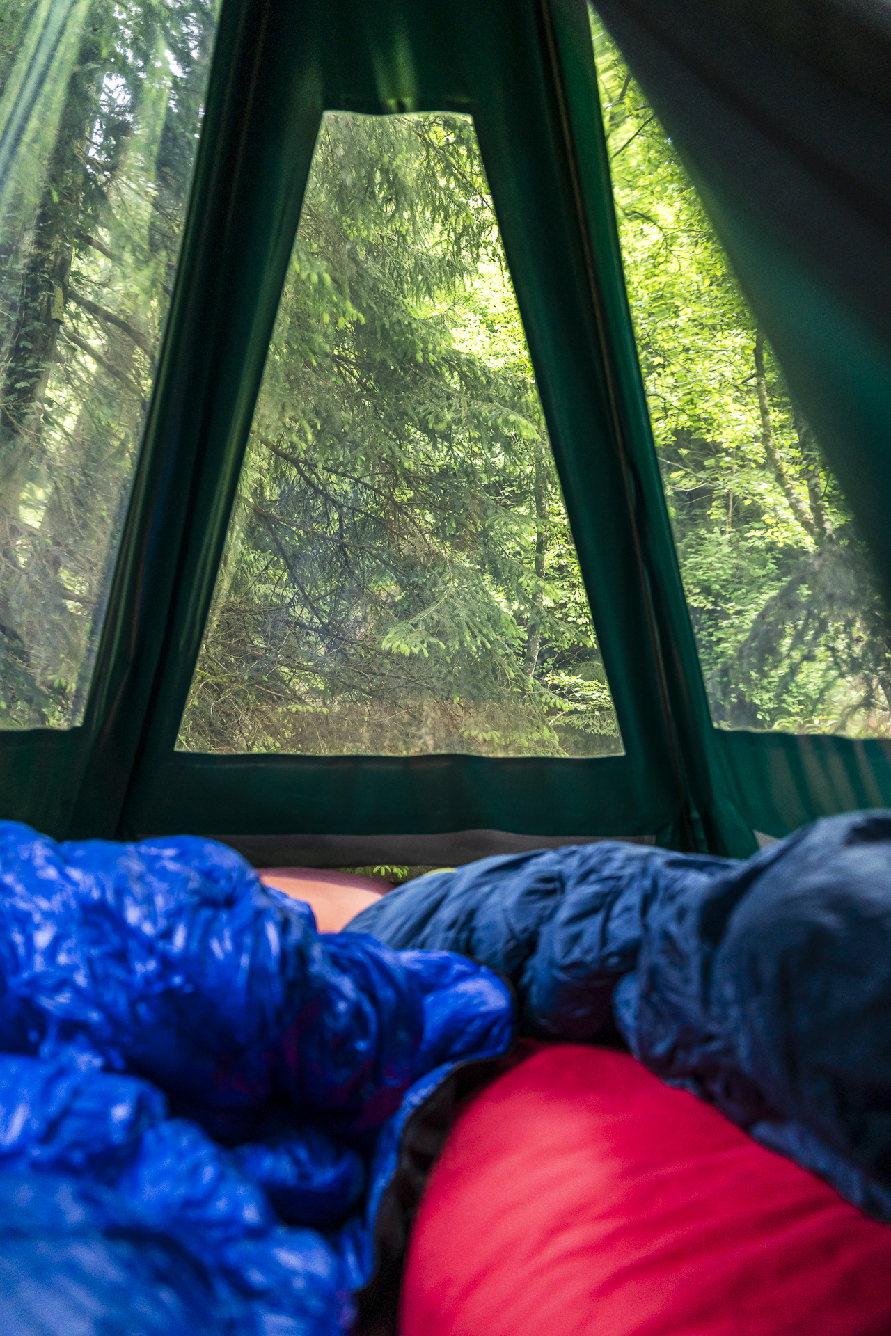Overnight in the tree bivouac