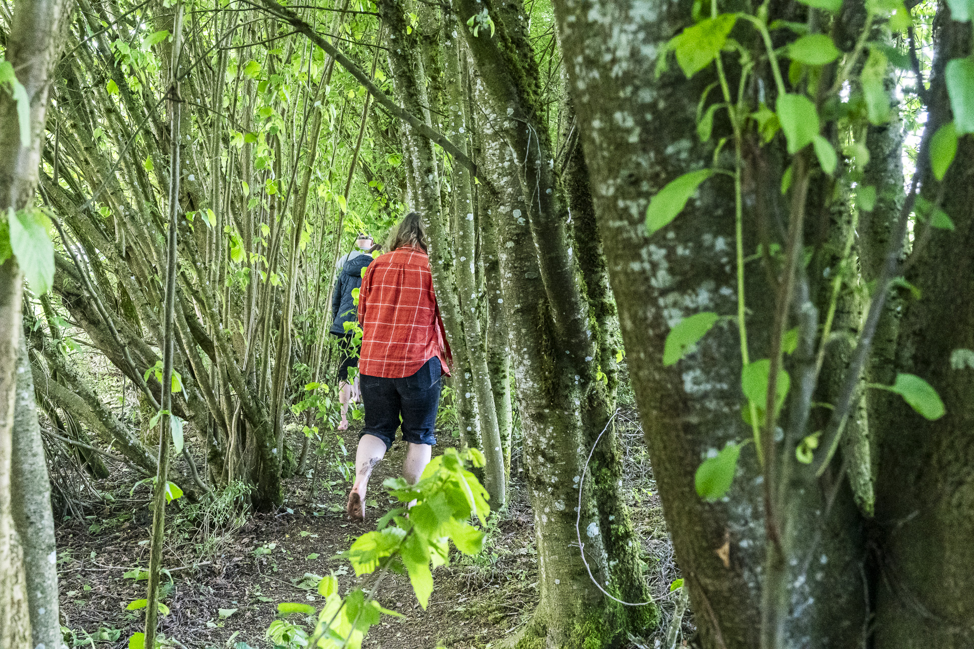 Pieds Total barefoot trail
