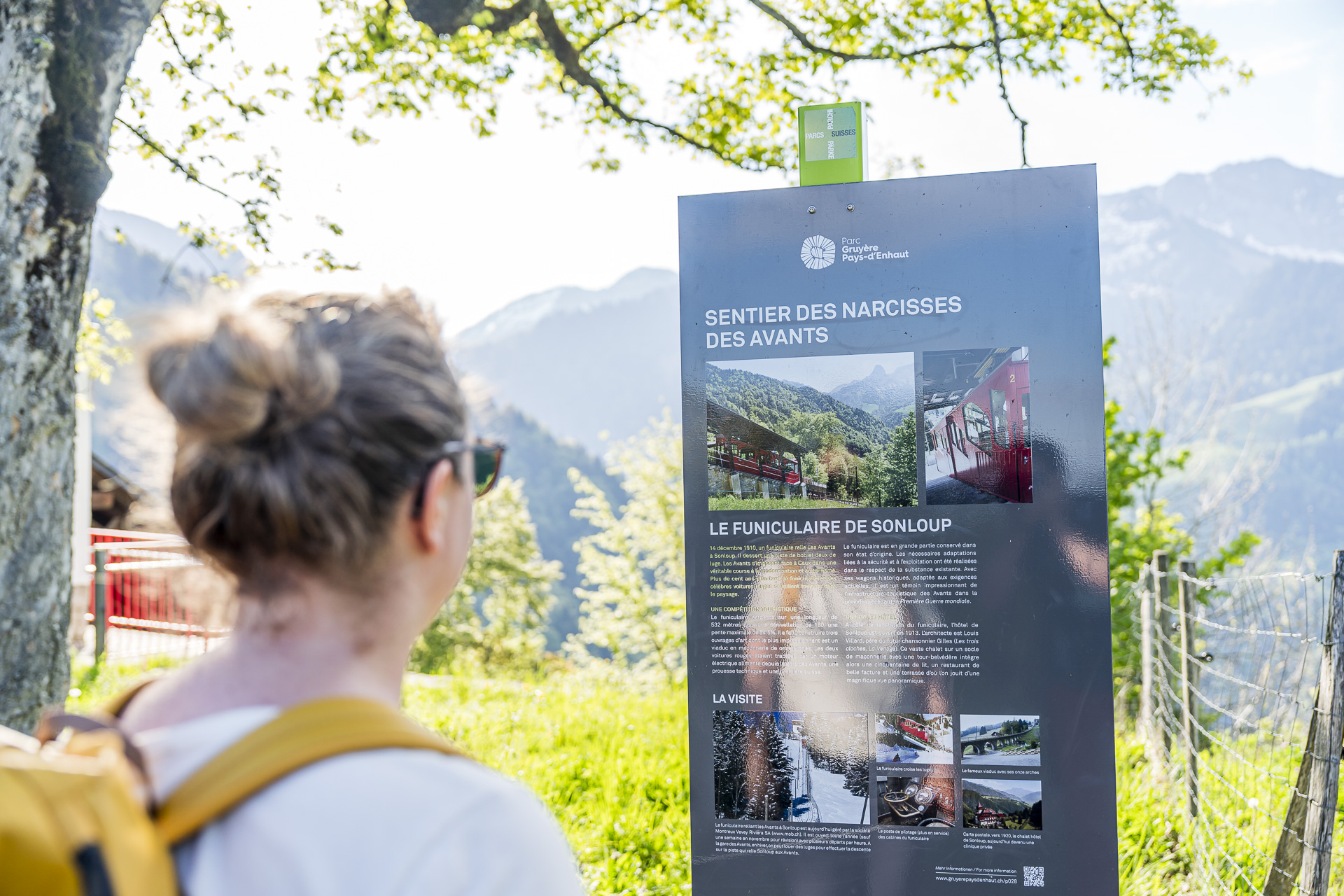 Chemin des Narcisses info panel