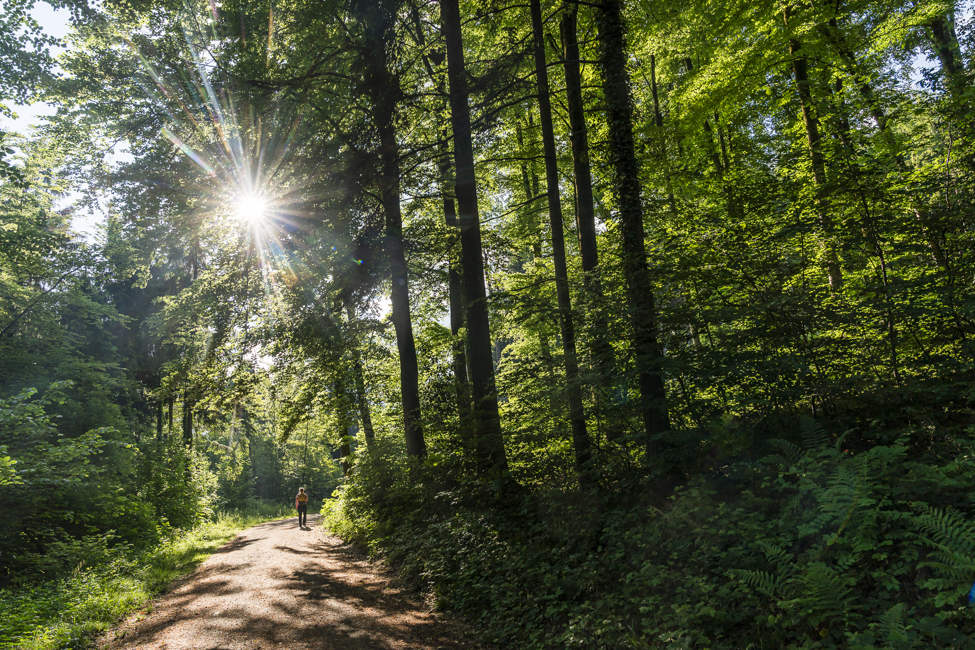 Vita Parcours course in Baden