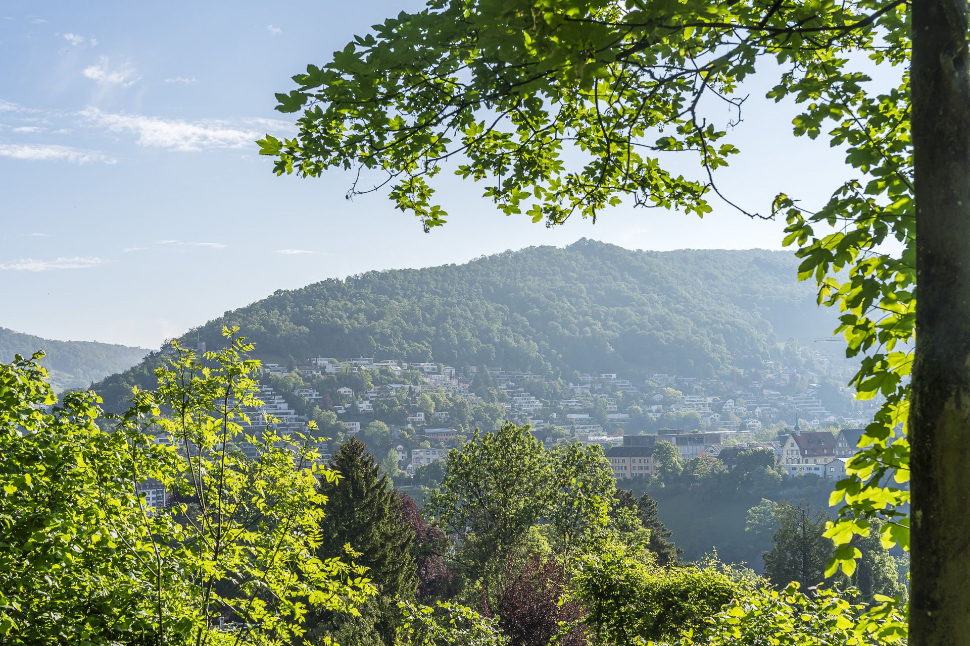 View toward Lägern