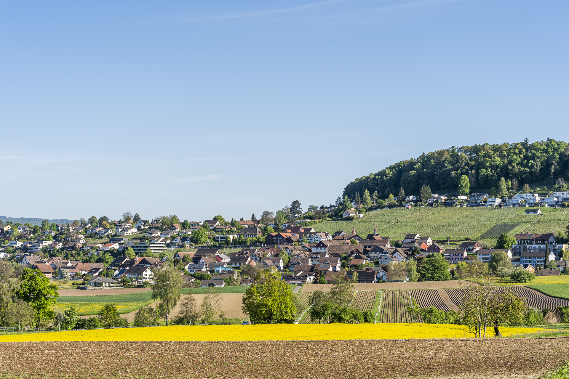 Uhwiesen