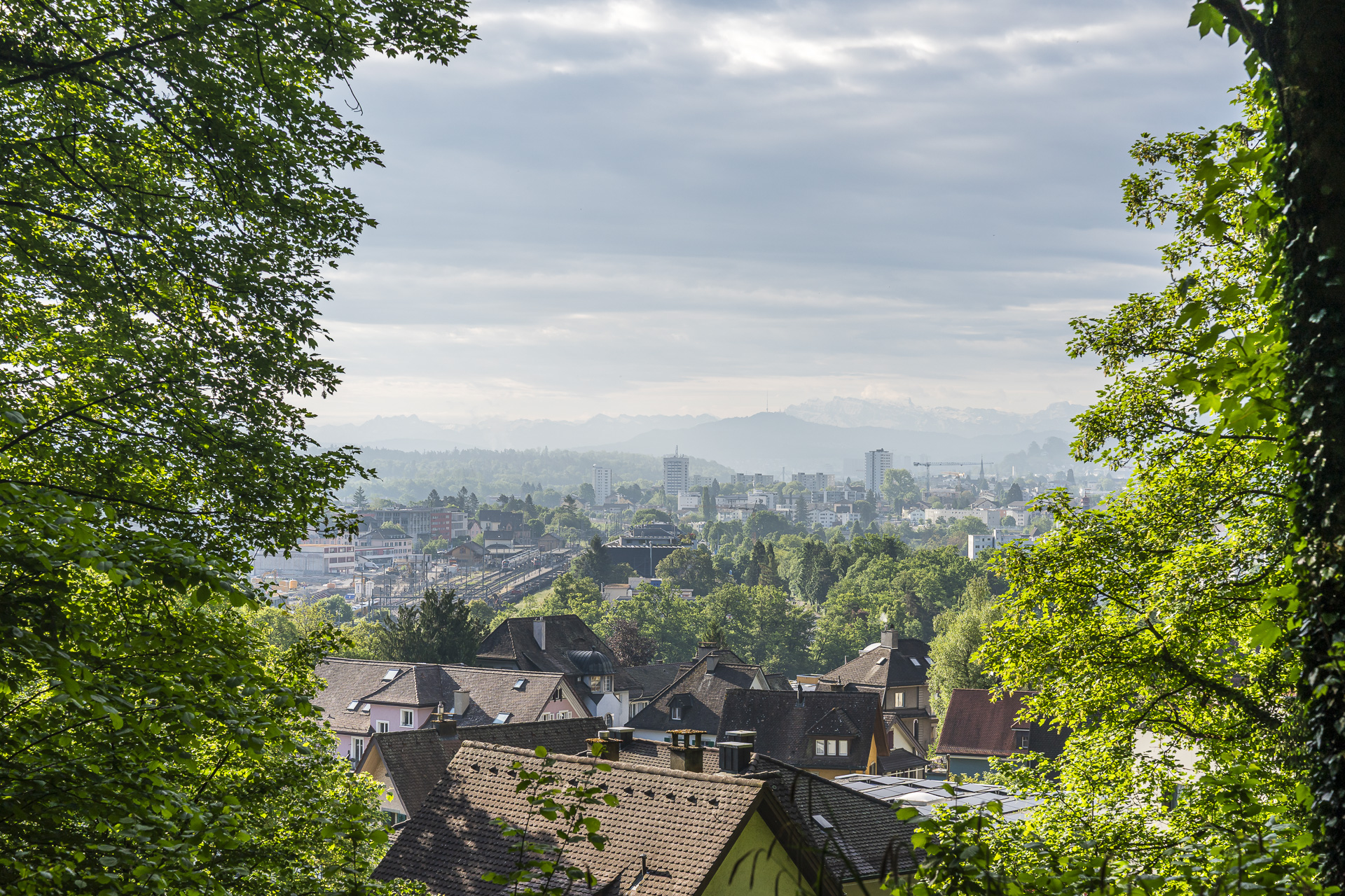 View into the Limmat Valley