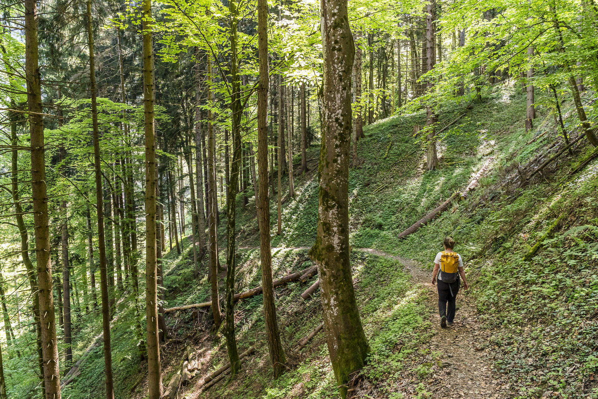 Hike in Glion
