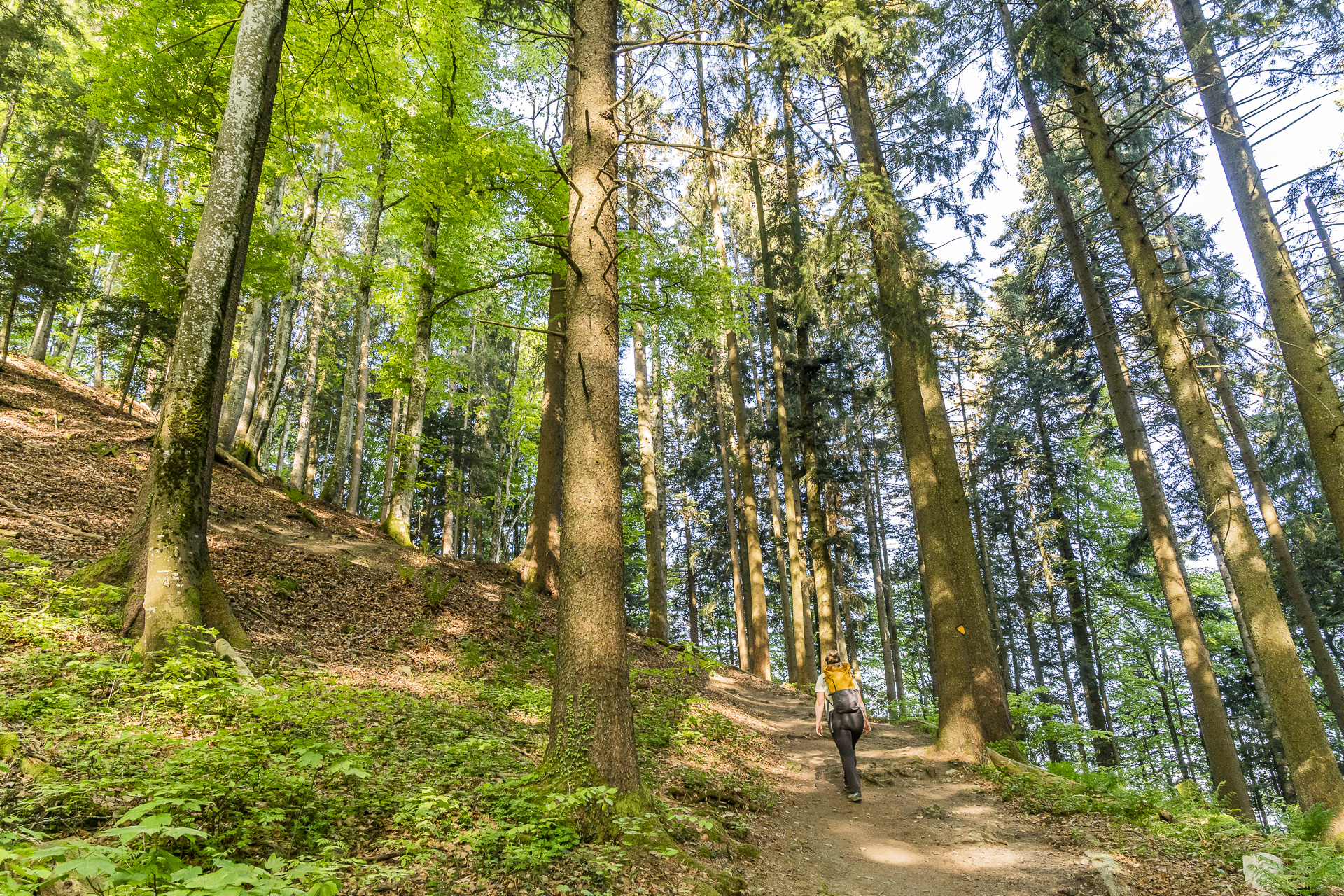 Ascent to Le Cubly