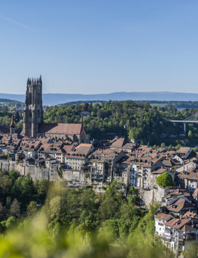 Vista del casco antiguo de Friburgo con catedral