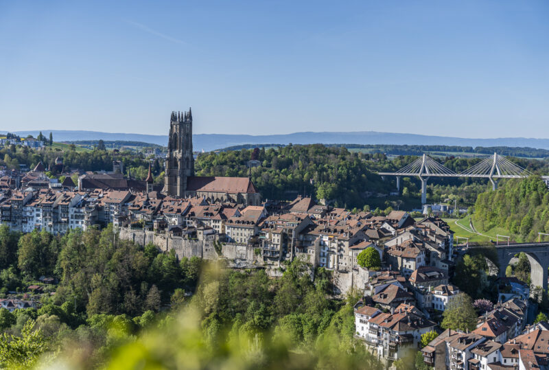 View of Fribourg's old town with cathedral