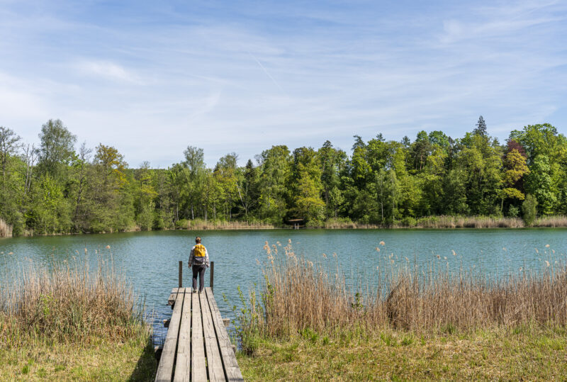 Zürcher Weinland Trail