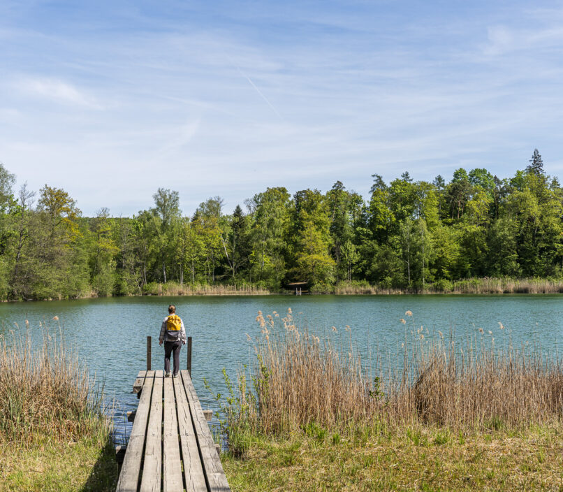 Zürcher Weinland Trail