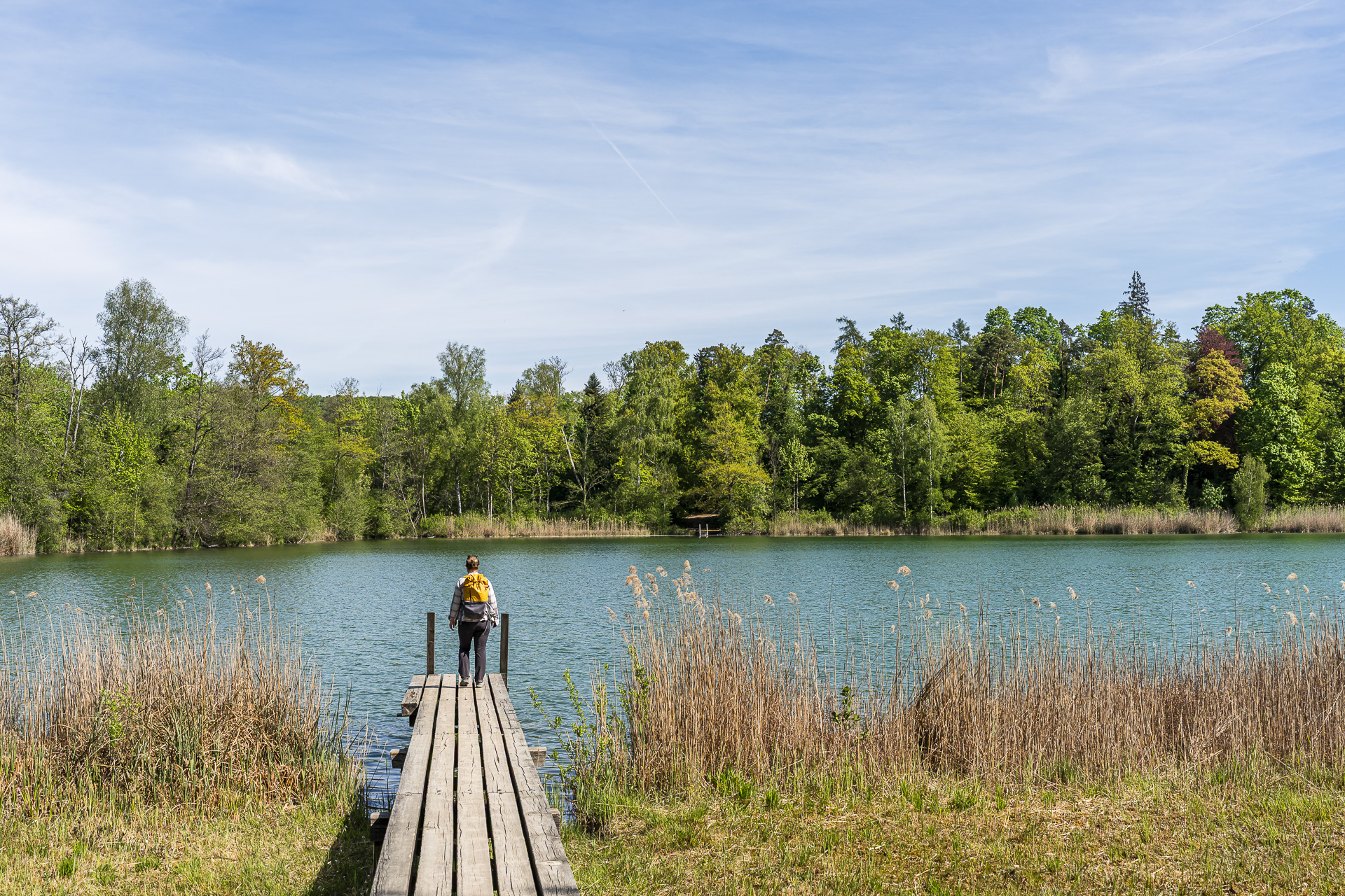 Zürcher Weinland Trail