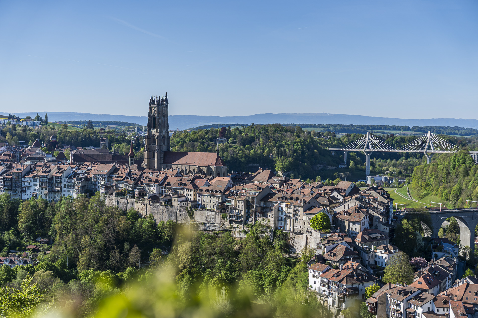 View of Fribourg's old town with cathedral