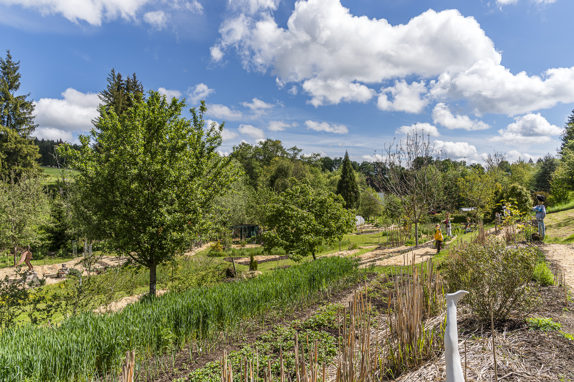 Garden at Bivouc dans les Arbres