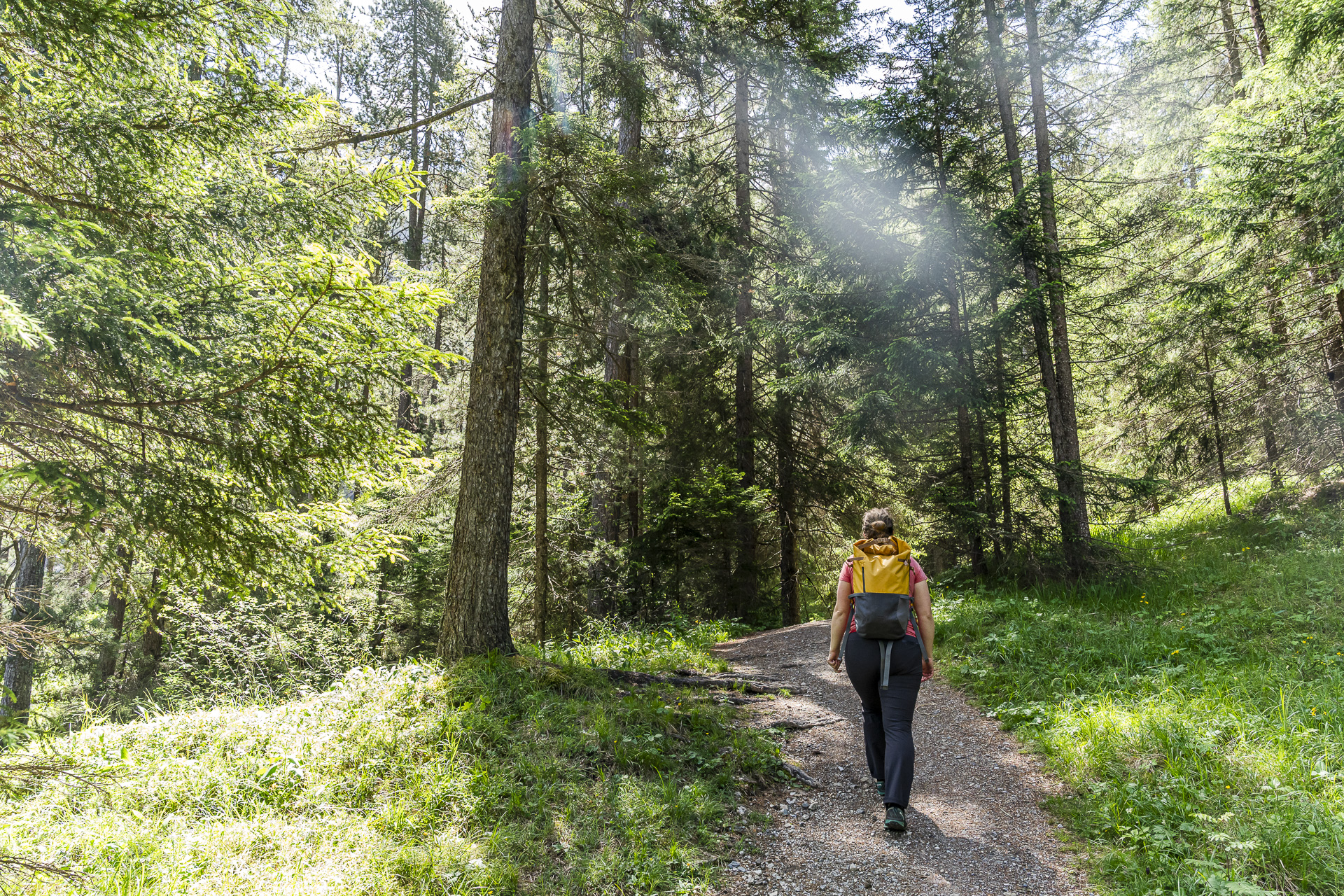 Wanderung vom Bahnhof Davos Wiesen nach Filisur