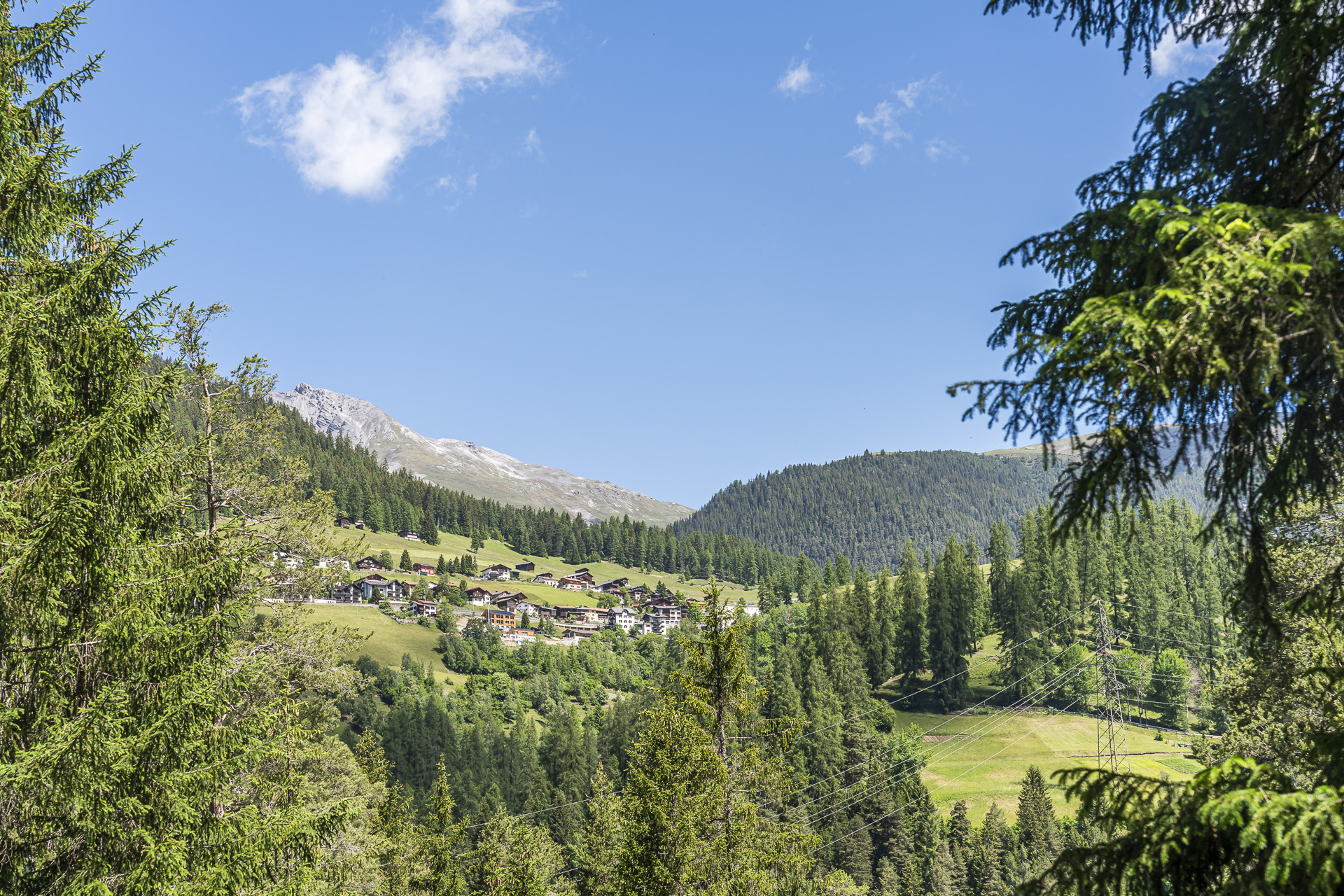 Davos Wiesen