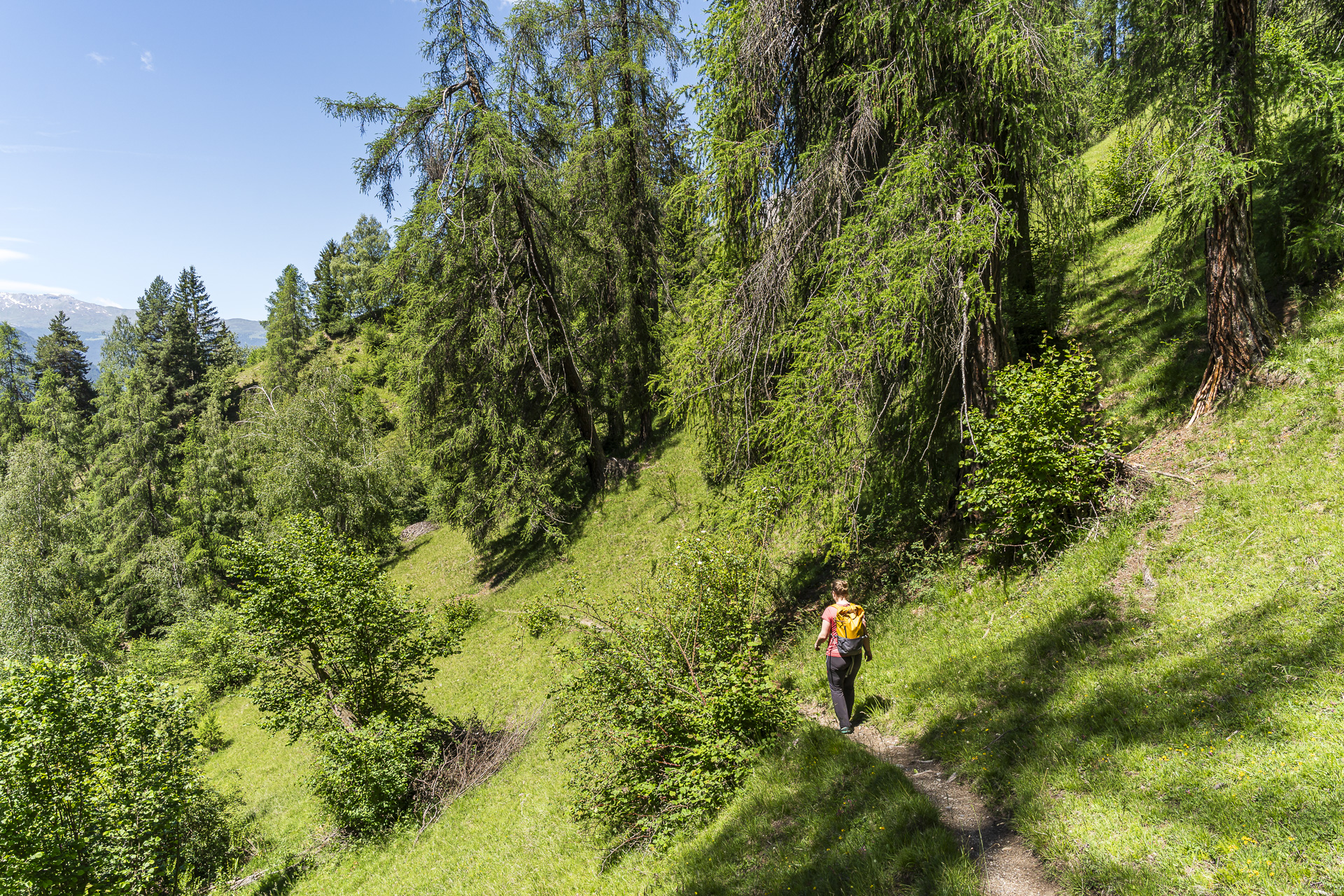 Wanderweg nach Filisur
