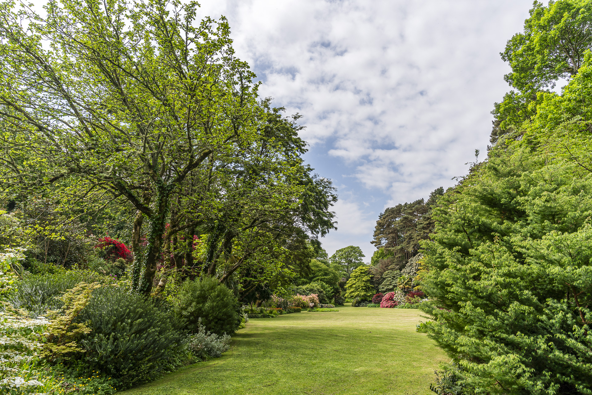 Garden in Glenveagh National Park