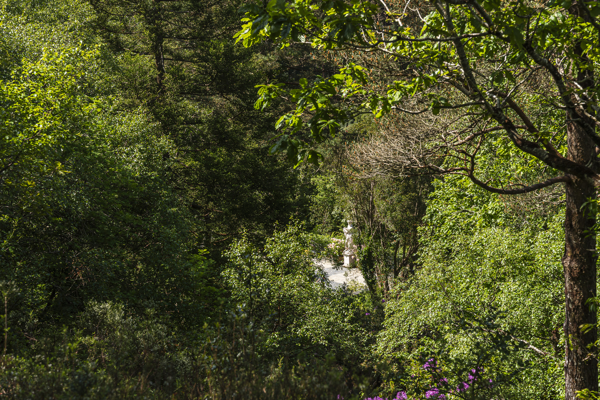 Glenveagh garden
