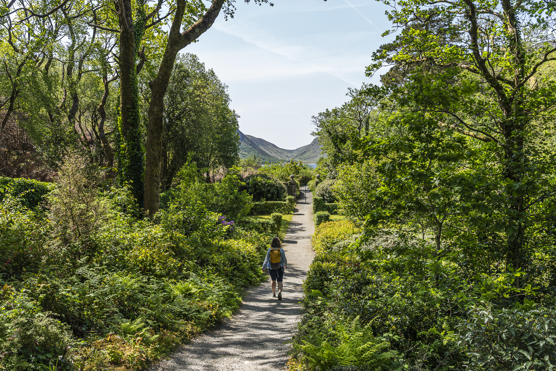 Garden in Glenveagh National Park