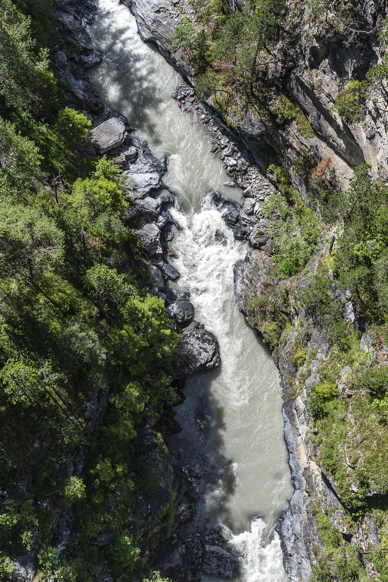 Zügenschlucht Davos WIesen