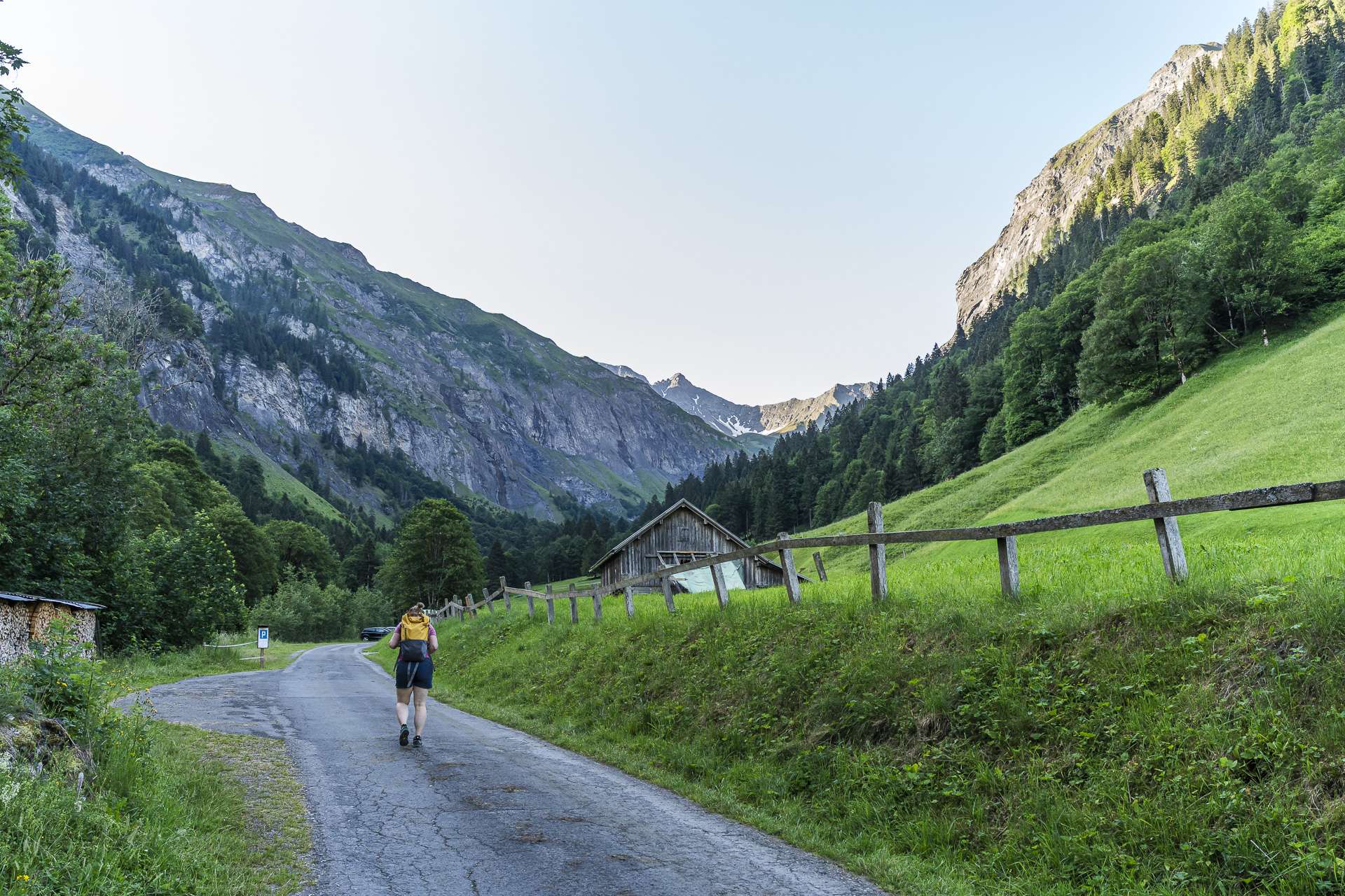 Weisstannen trail