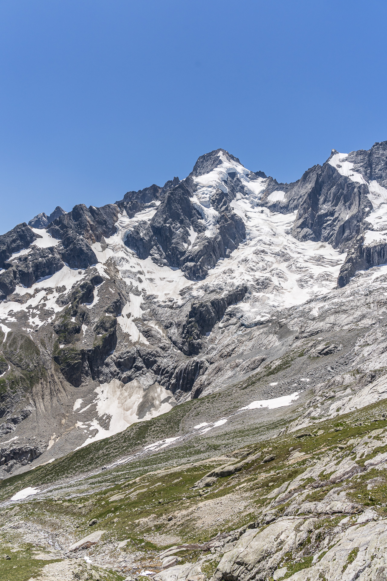 Mont Dolent panorama