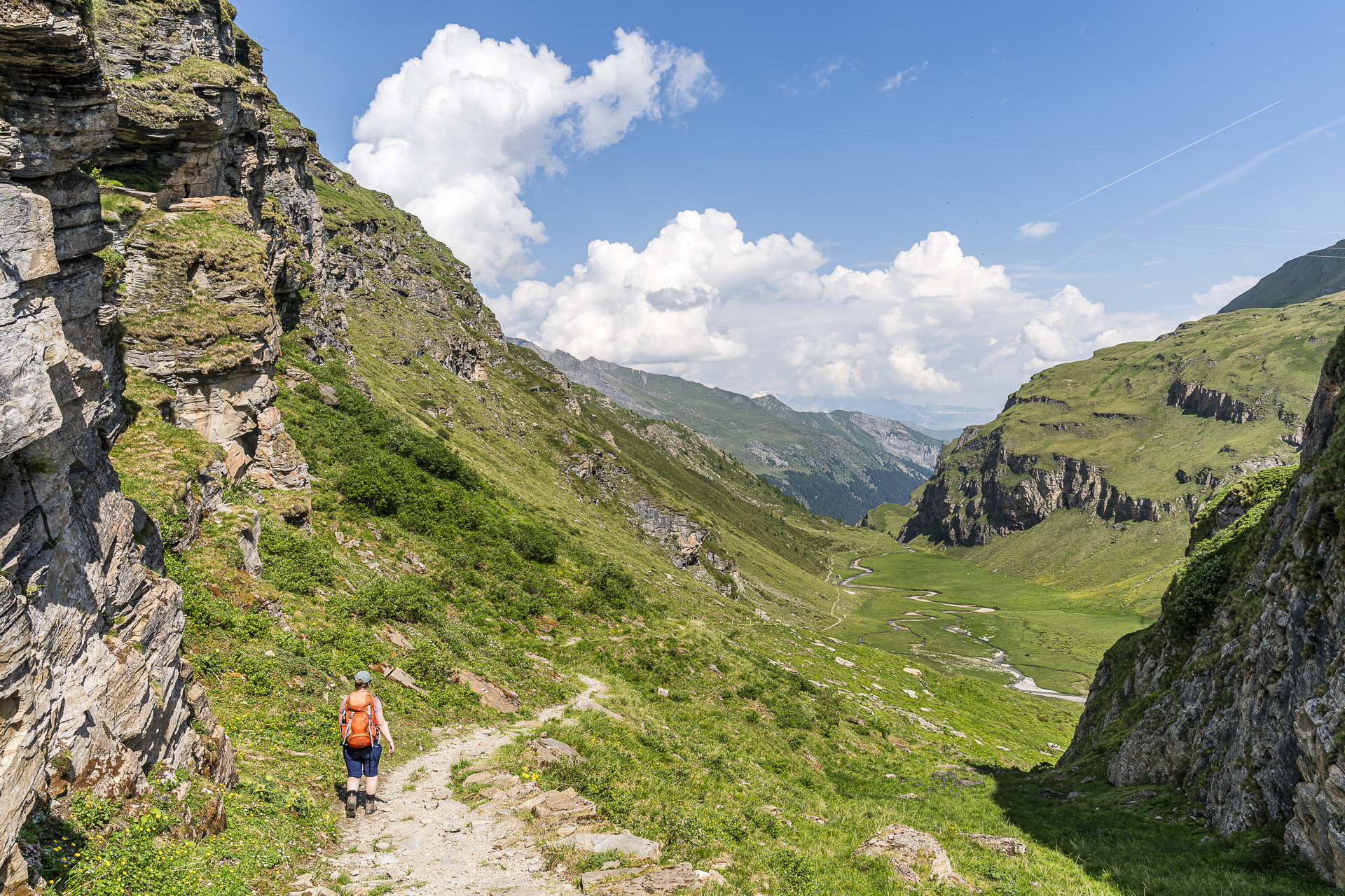 Ridboda Alp Tomül