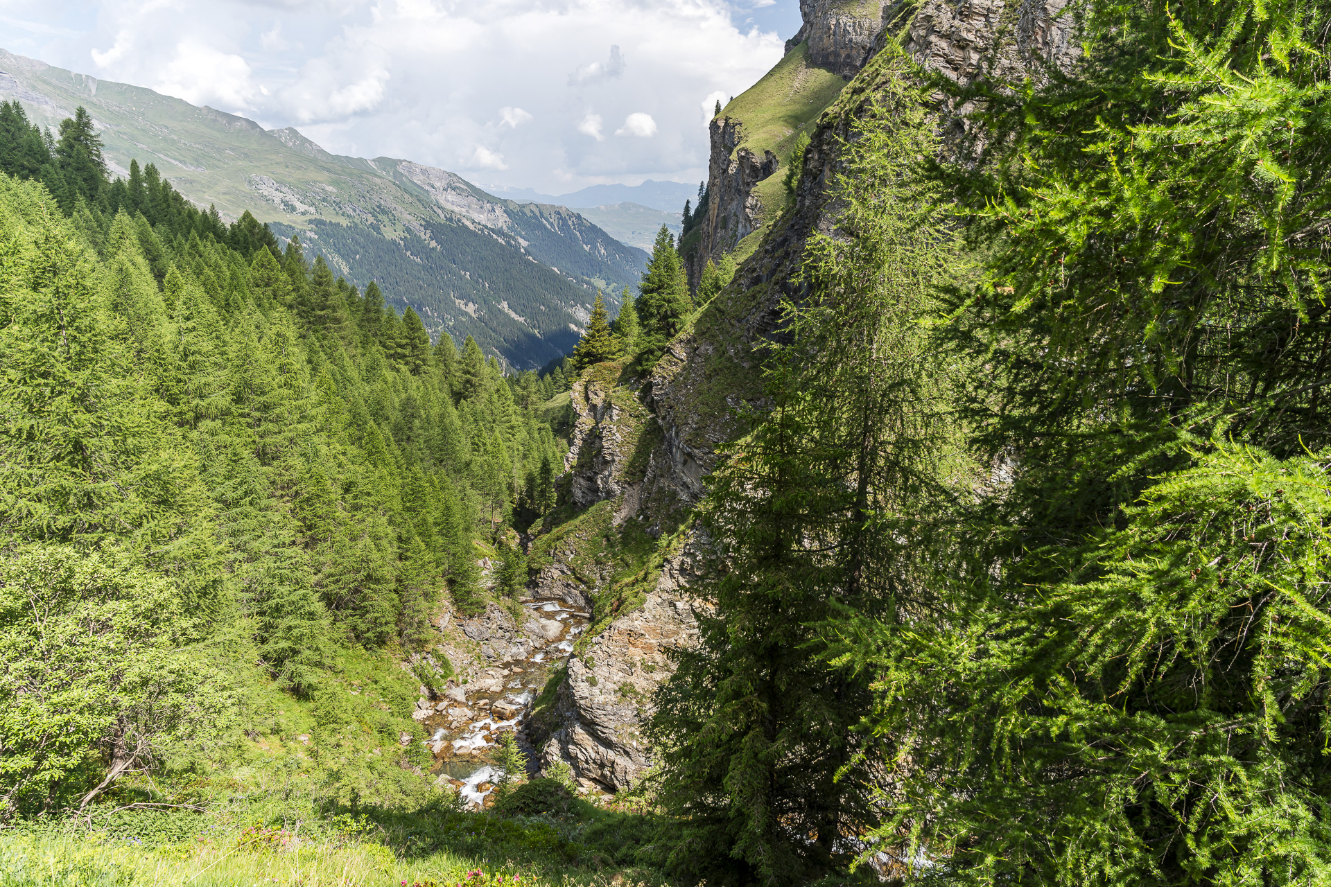 Trail from Alp Tomül to Vals