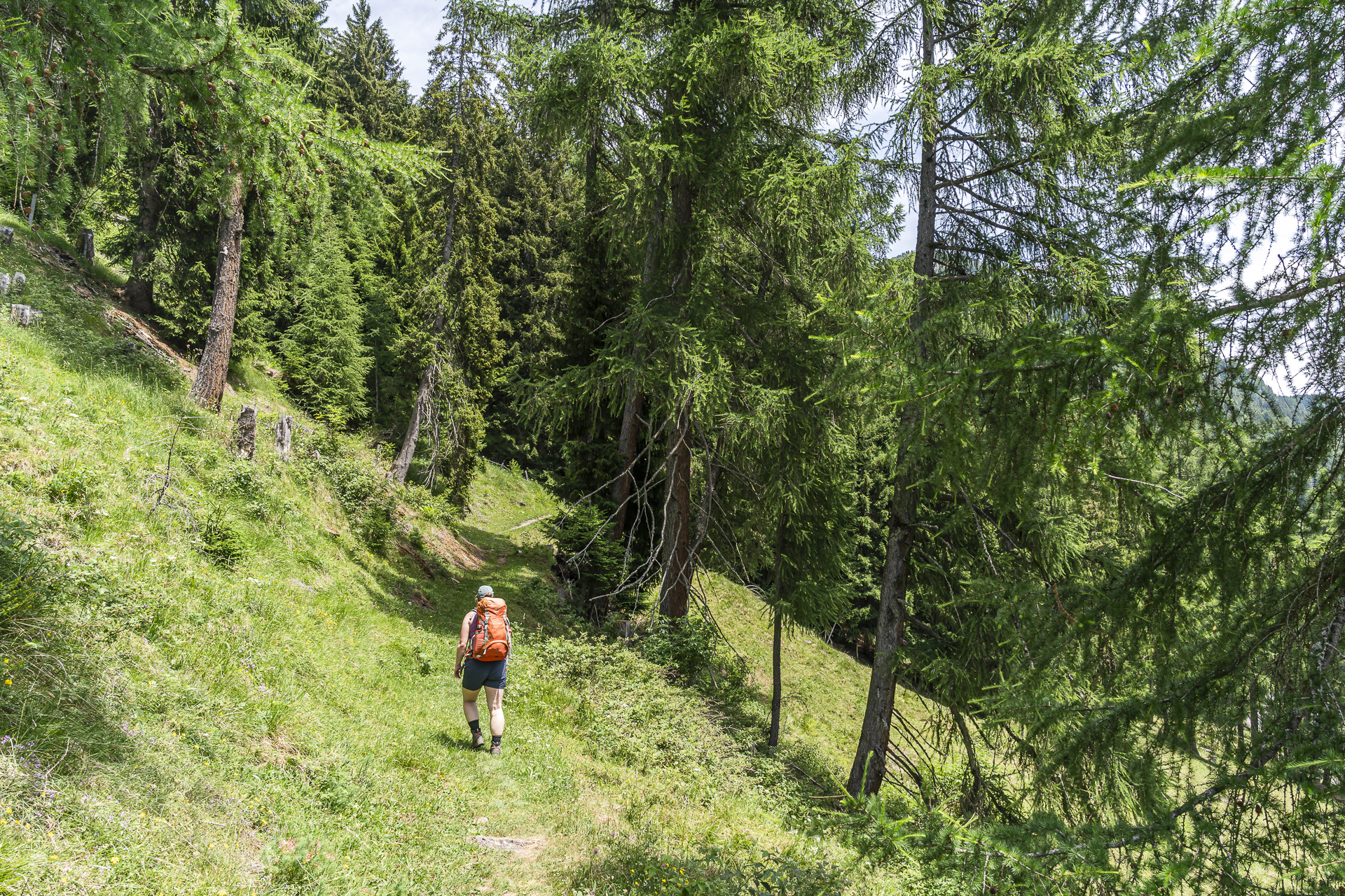 Ascent Sufers–La da Vons through the forest