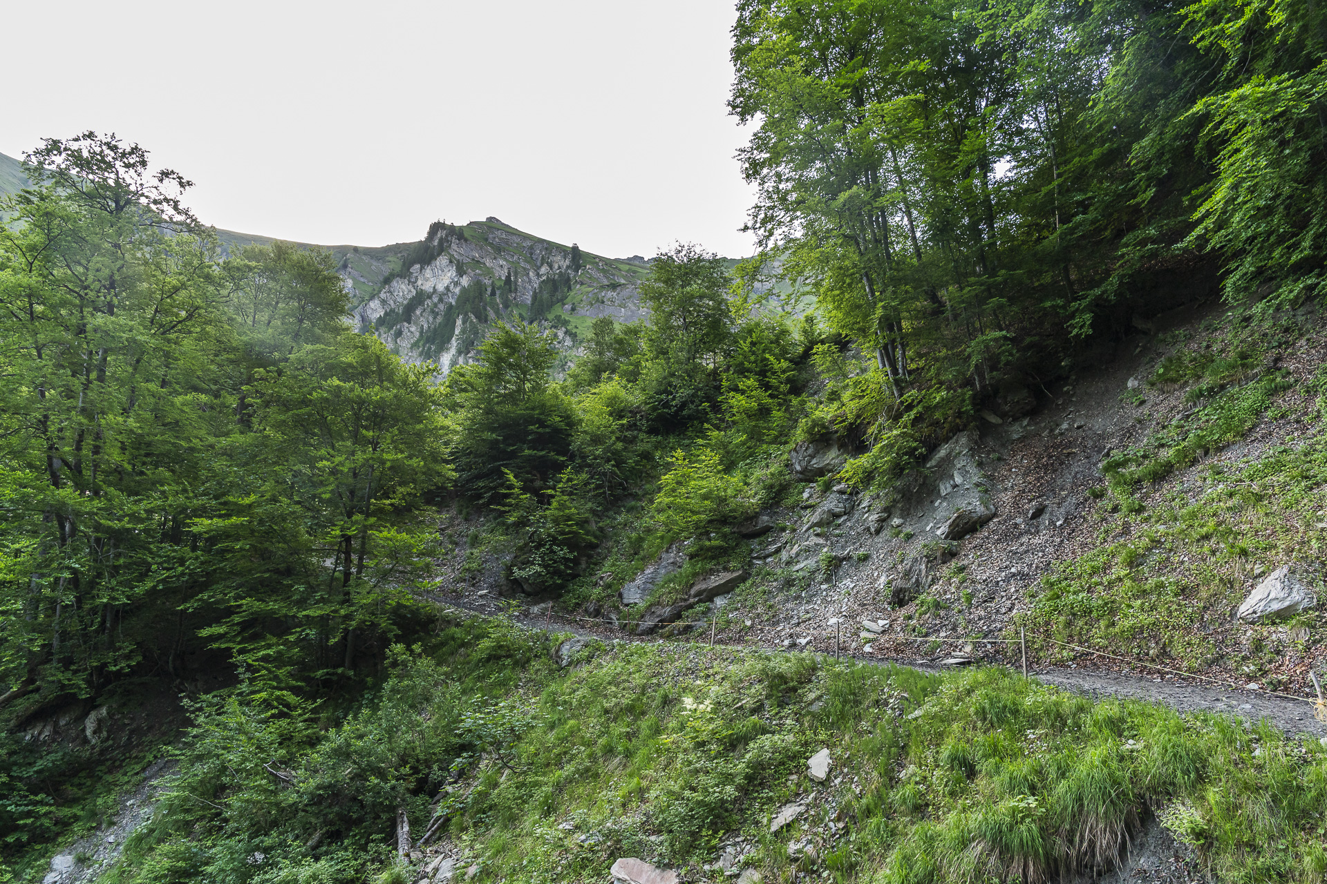 Trail to the Waterfall Arena Batöni