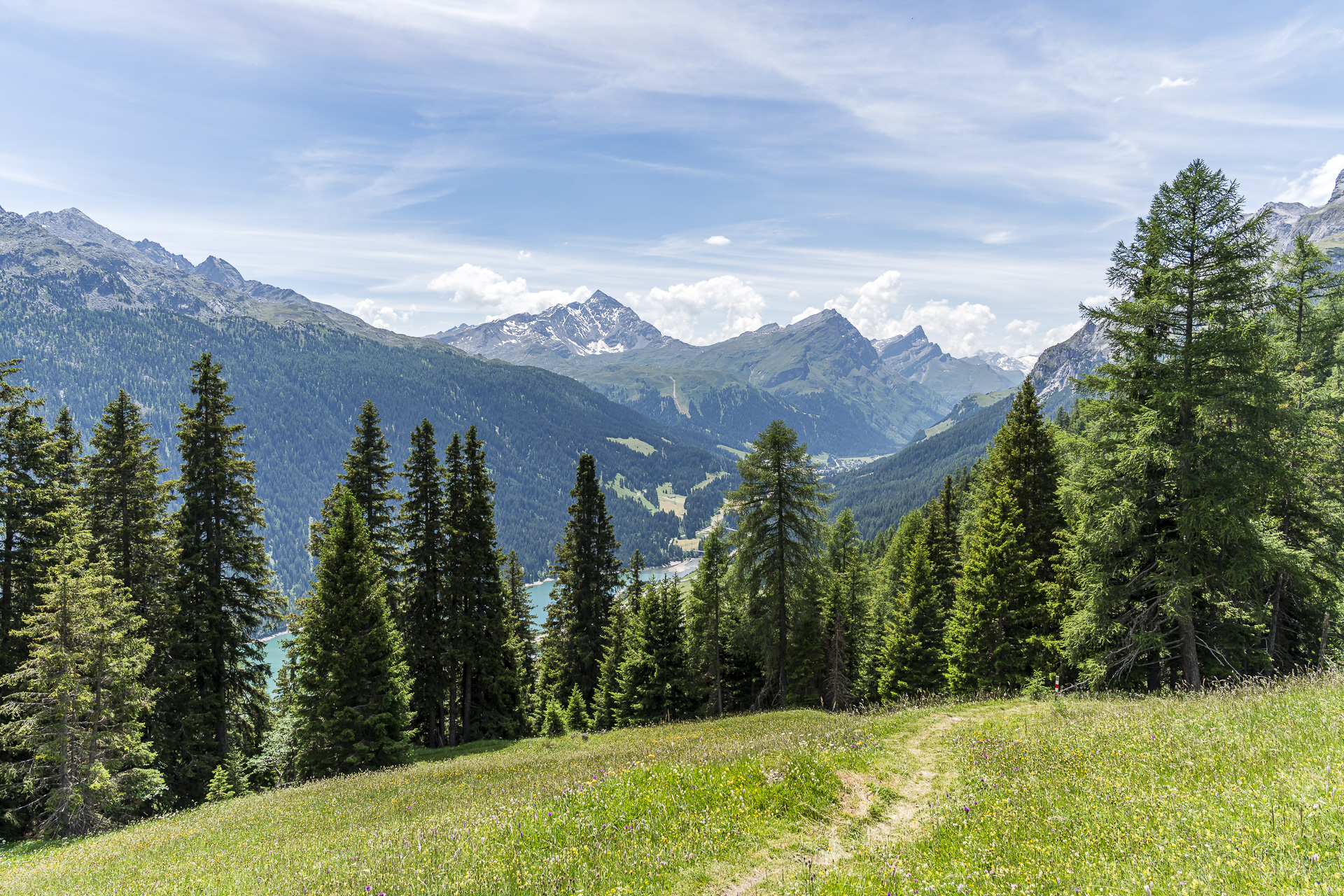 Rheinwald panorama
