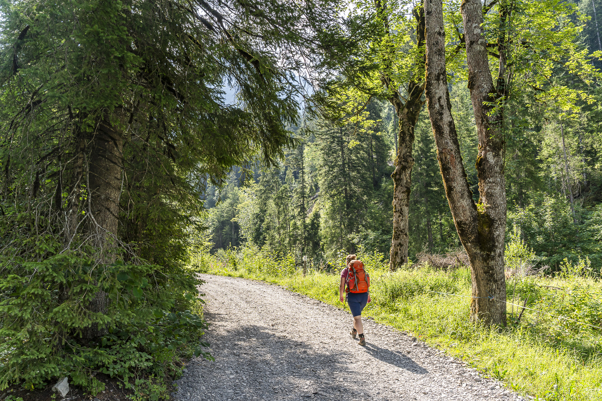Trail to the Simmen Falls