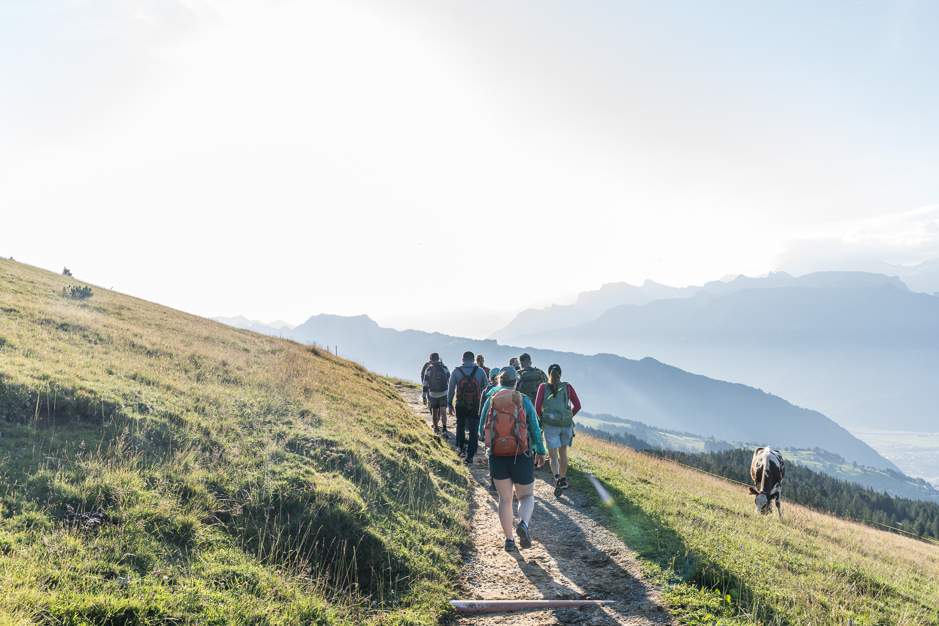Wildlife-watching hike